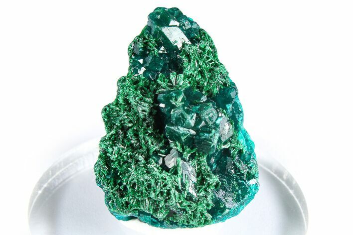 Emerald-Green Dioptase Crystal Cluster w/ Malachite - DR Congo #379409